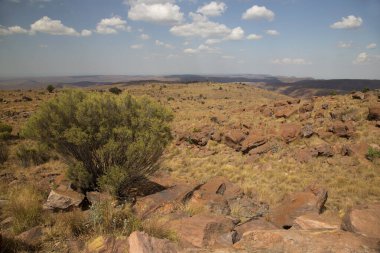 Afrika 'nın engebeli kayalık arazisi ve alçak çalı tarlaları