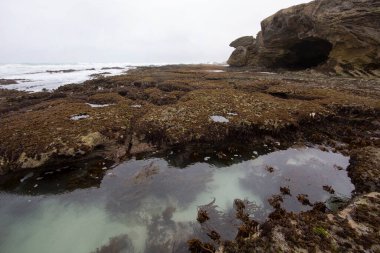 Deniz kıyısının güzel manzarası
