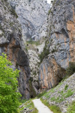 Yol yeşilliklerle çevrili kayalara doğru gidiyor.