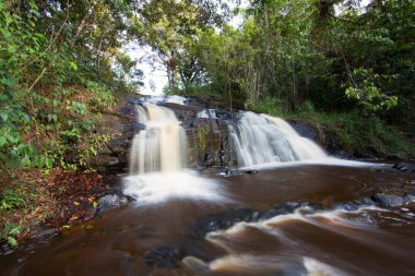 Tropikal ormanda akan kayalık nehir manzarası