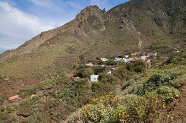 Yeşillikli kıyı kenti mimarisi manzarası