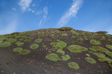 Etna Dağı 'nın krater kenarı lav tarlaları ve dik yamaçlar. Çakıl taşlarıyla kaplı. Güçlü öncü bitkiler tarafından büyütülmüş.
