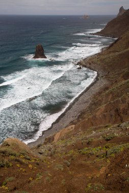 Okyanusun güzel bir sahili.