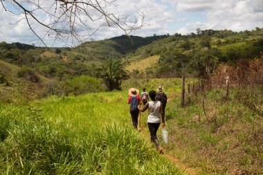 yemyeşil bir sahnede yürüyüş yapan bir grup insan, seyahat çekimleri.