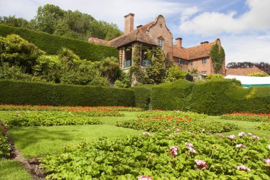 Yaz bahçesinde yetişen güzel çiçekler..