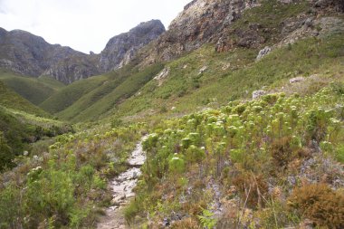 Dağları ve mavi gökyüzü olan güzel bir manzara. 