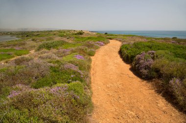 Deniz kıyısının güzel manzarası.