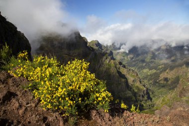 Dağların güzel manzarası