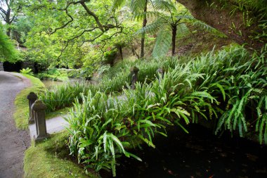 Parkın güzel manzarası