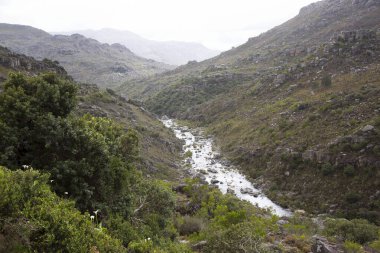 Nehirli dağların güzel manzarası