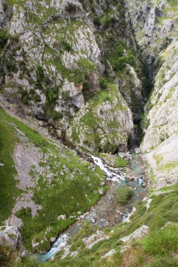 Yeşil çimenli ve mavi gökyüzü olan dağ manzarası