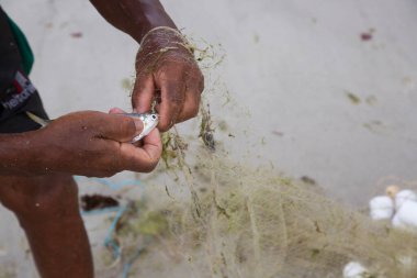 Erkek eller sahildeki ağdan balık topluyor.