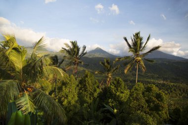 Yoğun yeşil yağmur ormanı manzarası ve arka planda kalderanın tepesi bir volkan.