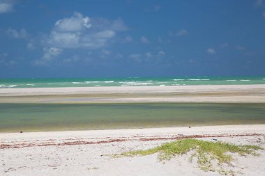 Güzel tropikal plaj manzarası