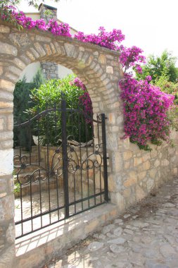 Çiçekli begonviller köy sokaklarının yakınındaki evlerin duvarları, kapıları ve pencereleri boyunca.