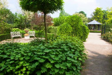 Yazın güzel bir bahçe