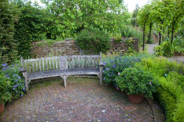 Yaz bahçesinde yetişen güzel çiçekler..