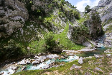 Dağ nehrinin güzel manzarası