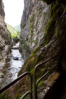 Dağ nehri ve mağaraların güzel manzarası