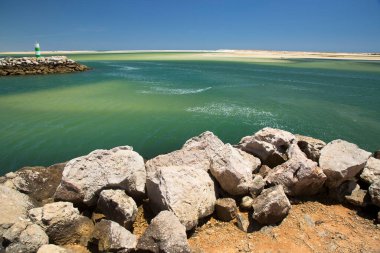 Deniz kıyısının güzel manzarası