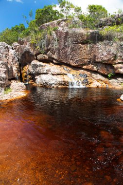 Kayalık nehir ve tropik yeşillikle güzel bir manzara. 