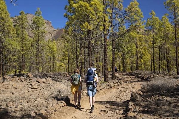 Dağlarda sırt çantalı tanınmayan turistler. Dağlarda sonbahar konsepti.