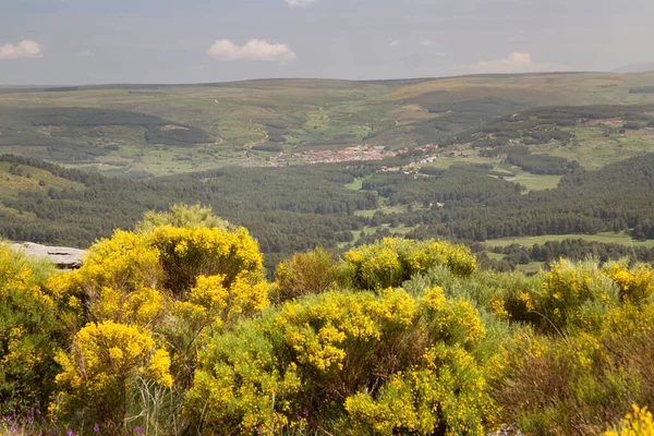 Eine Wunderschöne Landschaft Der Berge — Stockfoto