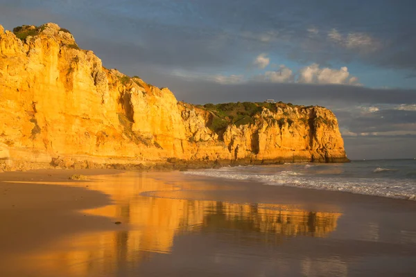 Kayalık kıyılar, kayalıklar ve kayalar denizlerde