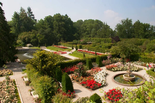 Vacker Botanisk Skott Naturliga Tapeter — Stockfoto