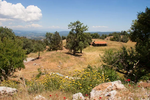 Arkasında bir dağ olan güzel bir manzara.