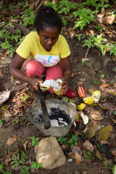 Mujer Pelando Grano Cacao Viaje Disparo — Foto de Stock