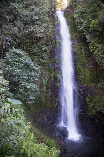 Ormanda güzel bir şelale