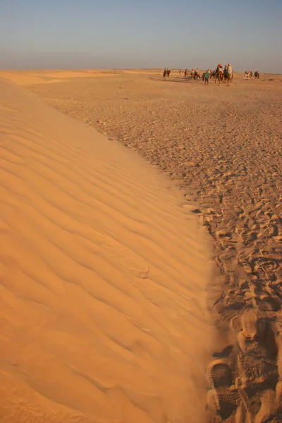 Vista Persone Che Cavalcano Cammelli Nel Deserto — Foto Stock