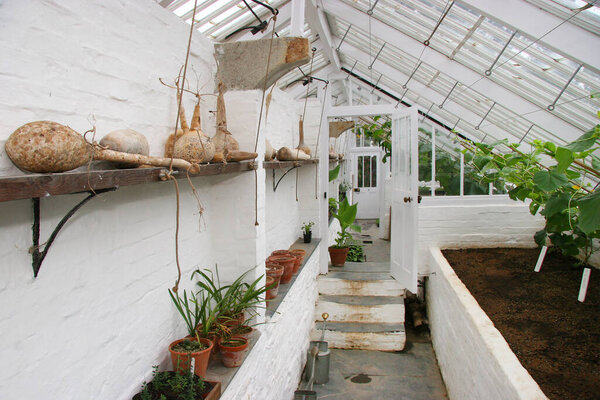Spacious greenhouse with variety plants