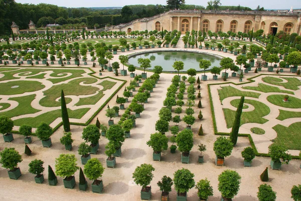 Bellissimo Giardino Con Erba Verde Laghetto — Foto Stock