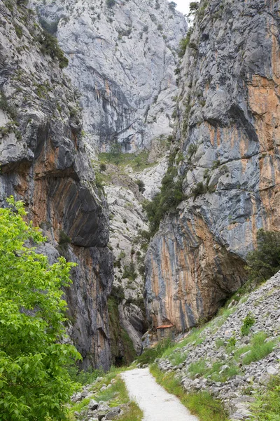 Yol yeşilliklerle çevrili kayalara doğru gidiyor.