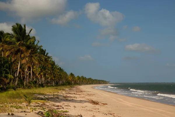 Belle Plage Tropicale Avec Palmiers — Photo