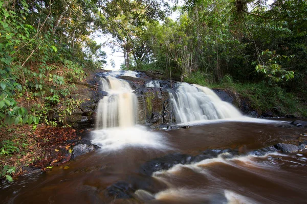 Tropikal ormanda akan kayalık nehir manzarası