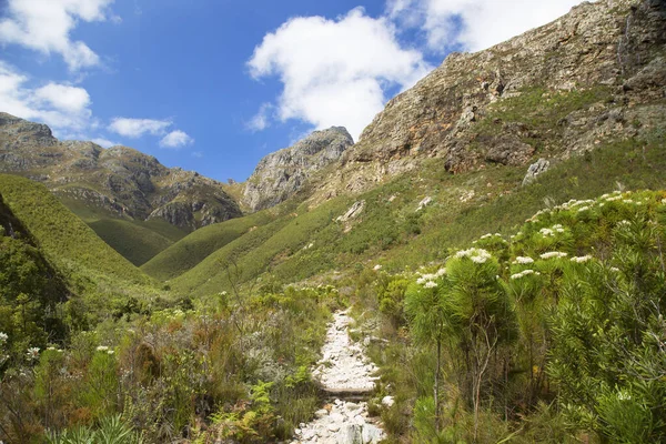 Dağları ve mavi gökyüzü olan güzel bir manzara. 