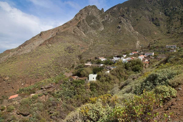 Yeşillikli kıyı kenti mimarisi manzarası