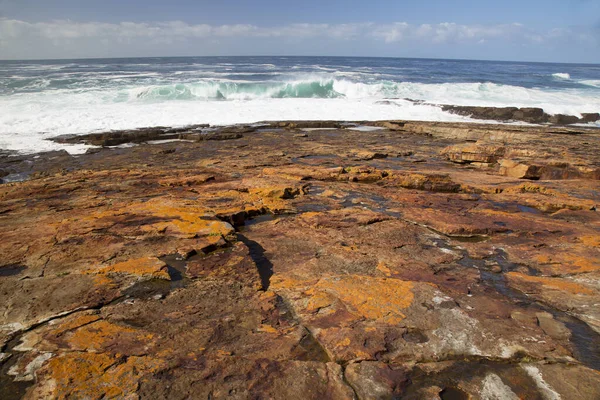 Güzel kıyı şeridi ve okyanus manzarası. 