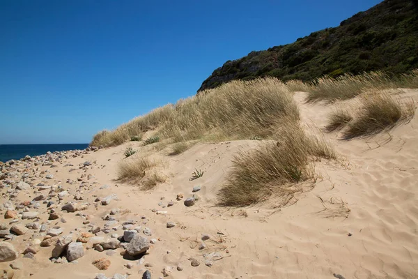 Praia Bordeira Plaża Zachodnim Wybrzeżu Algarve Położona Parku Przyrody Costa — Zdjęcie stockowe