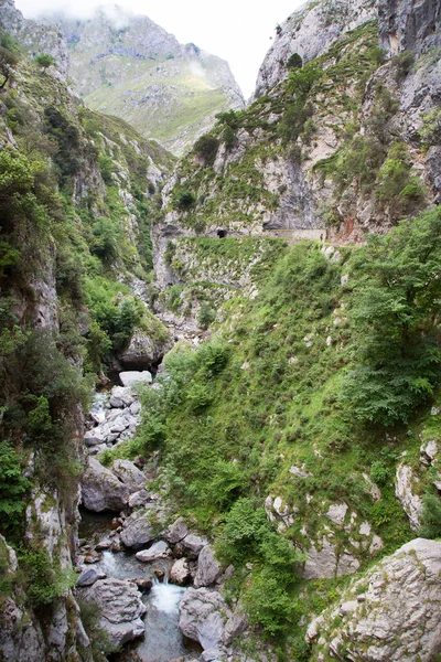 Önünde nehir olan bir dağ manzarasının dikey görüntüsü.