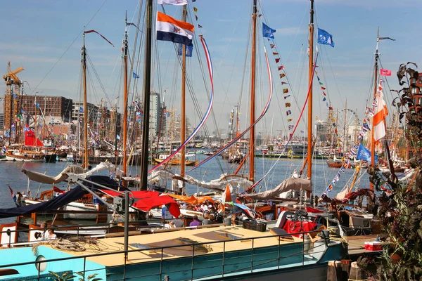 Güneşli limana demirlemiş bayraklı yatlar