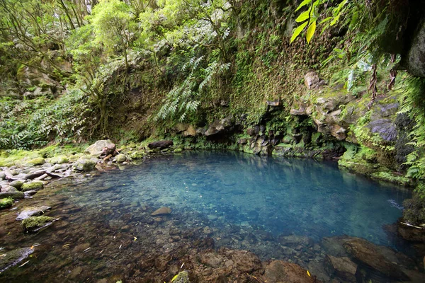 Prachtig Uitzicht Meertje Tropische Jungle — Stockfoto