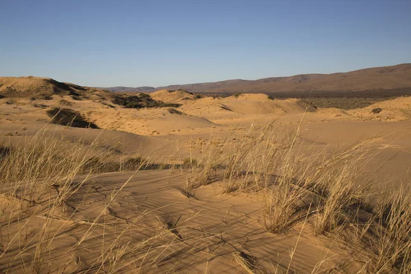 Çölün güzel manzarası