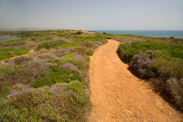 Deniz kıyısının güzel manzarası.