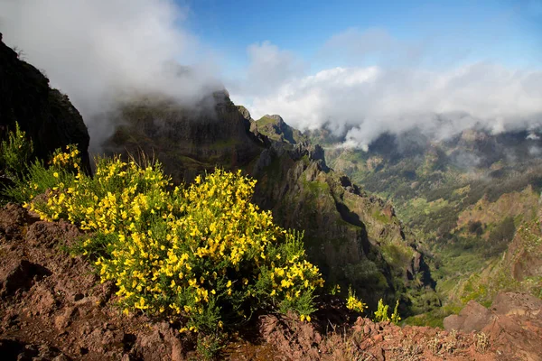 Dağların güzel manzarası