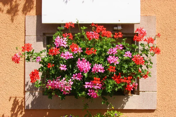 Las Fachadas Las Casas Con Flores Las Ventanas Pequeño Pueblo — Foto de Stock