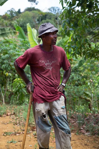 Afrikalı işçi ormanda dikiliyor, seyahat çekimi var.